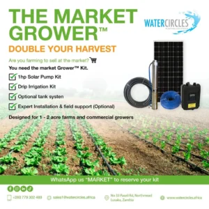 The Market Grower